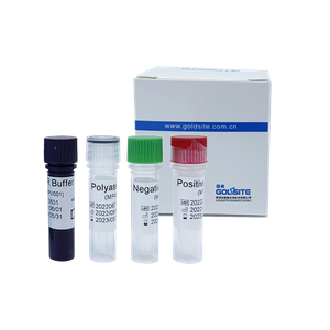 Affenpockenvirus(MPXV)-PCR-Kit
