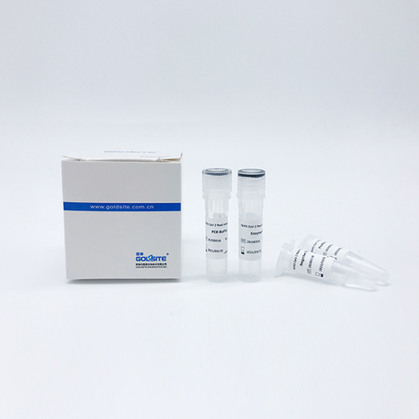 SARS-CoV-RT-PCR-Kit